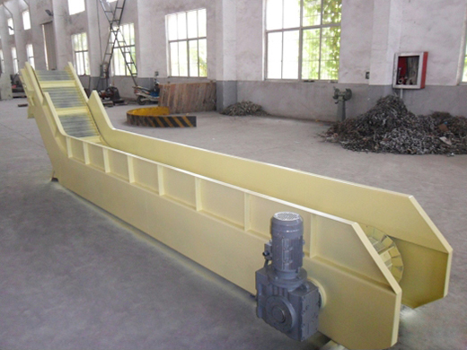 网链绿巨人污视频APP下载